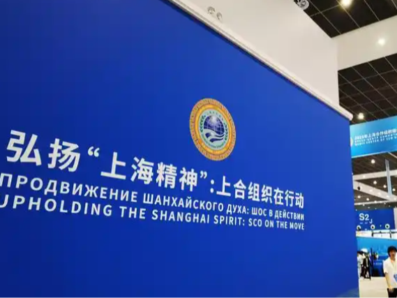 俄专家：团结是上合组织峰会传递的主要信号