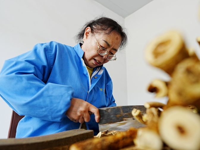 光耀太行·红土巨变 | 浑源：北岳灵秀厚植“千年芪乡