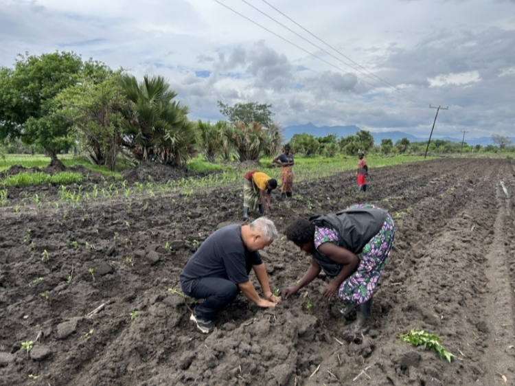 共筑金色梦想丨马拉维民众分享丰收的喜悦：“感谢中国专家传授给我们这项技术”