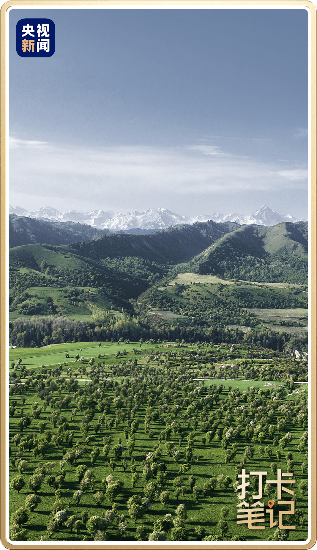 △新源县萨哈野果林。伊犁河谷两侧的天山山坡地带，分布着野生果树。