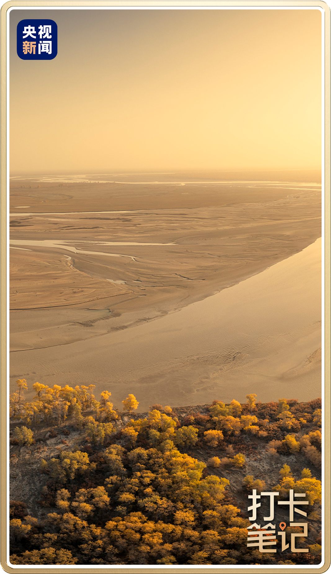 △沙漠中的胡杨