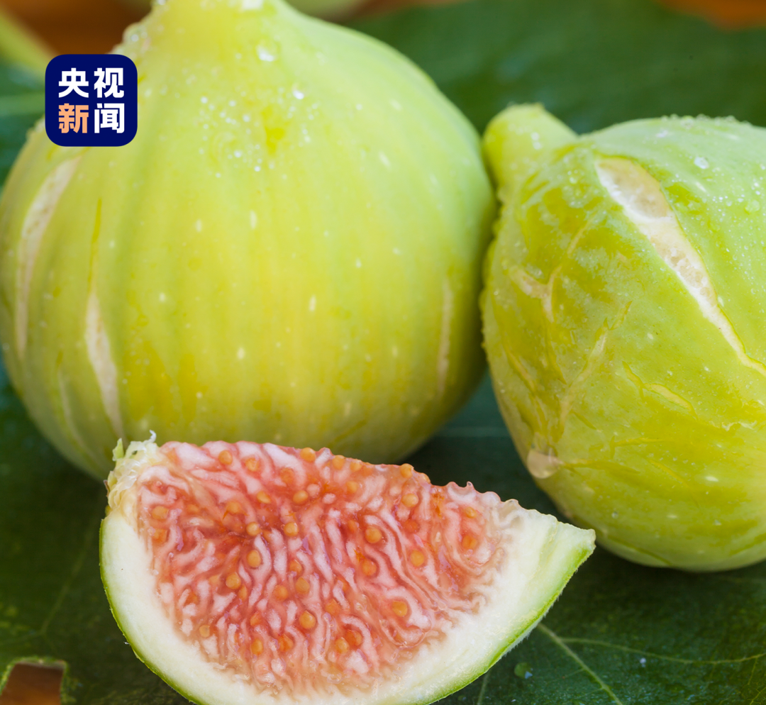 △吃之前，把无花果用叶子包起来，手掌用力一拍，这样让糖分均匀，果子会特别甜。