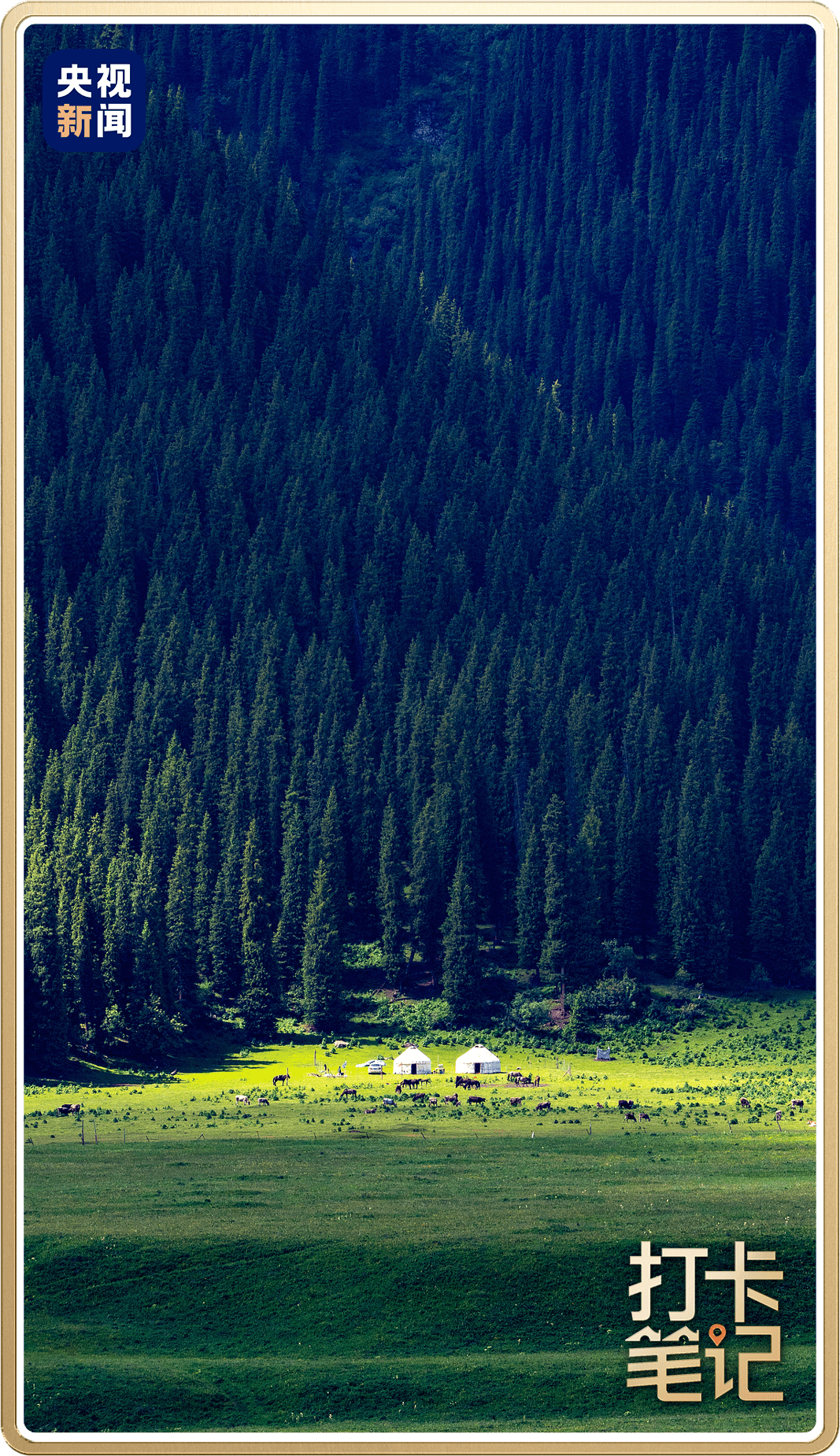 △伊犁唐布拉草原