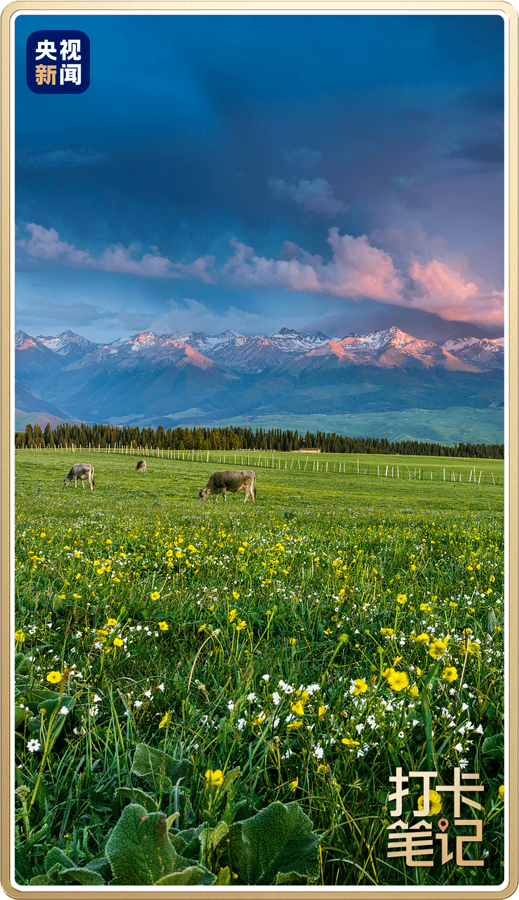 △伊犁喀拉峻草原