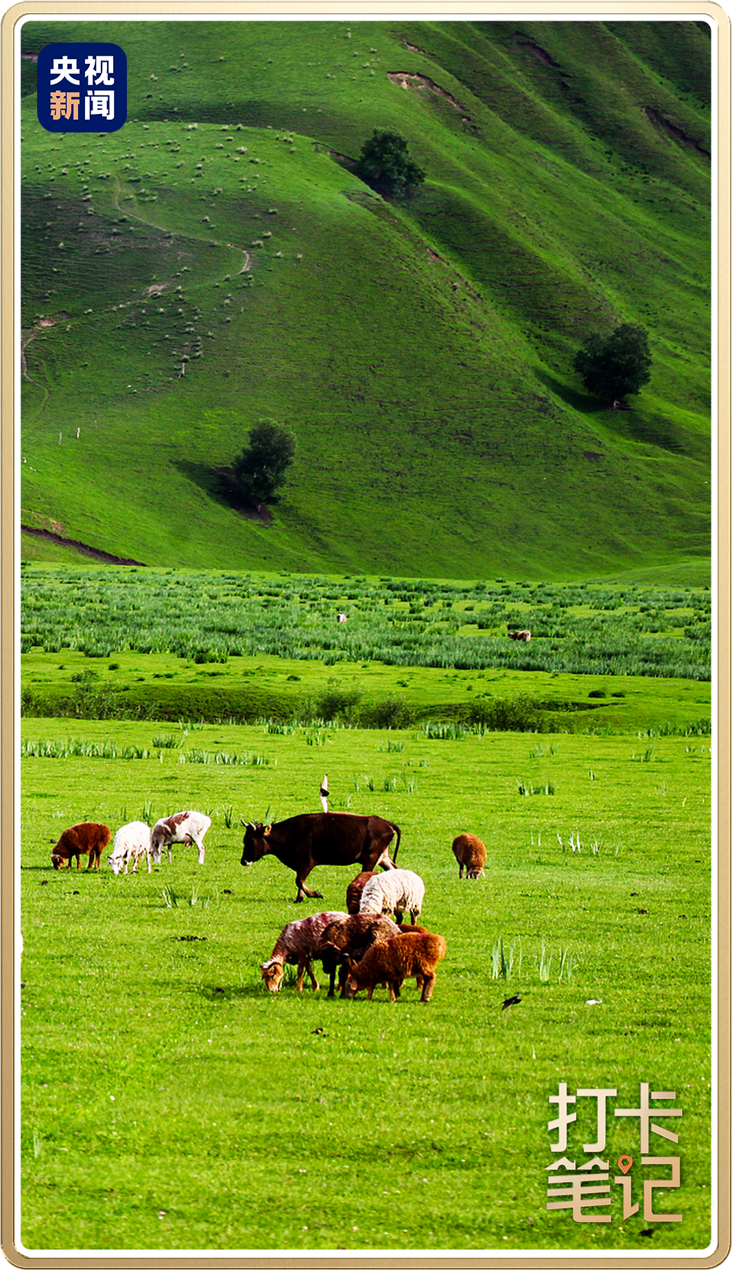 △伊犁那拉提草原