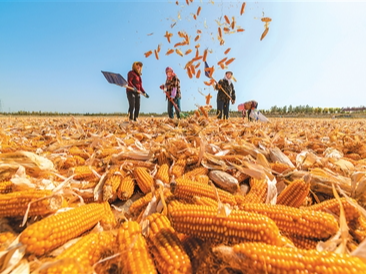 丰收中国铺展美丽画卷