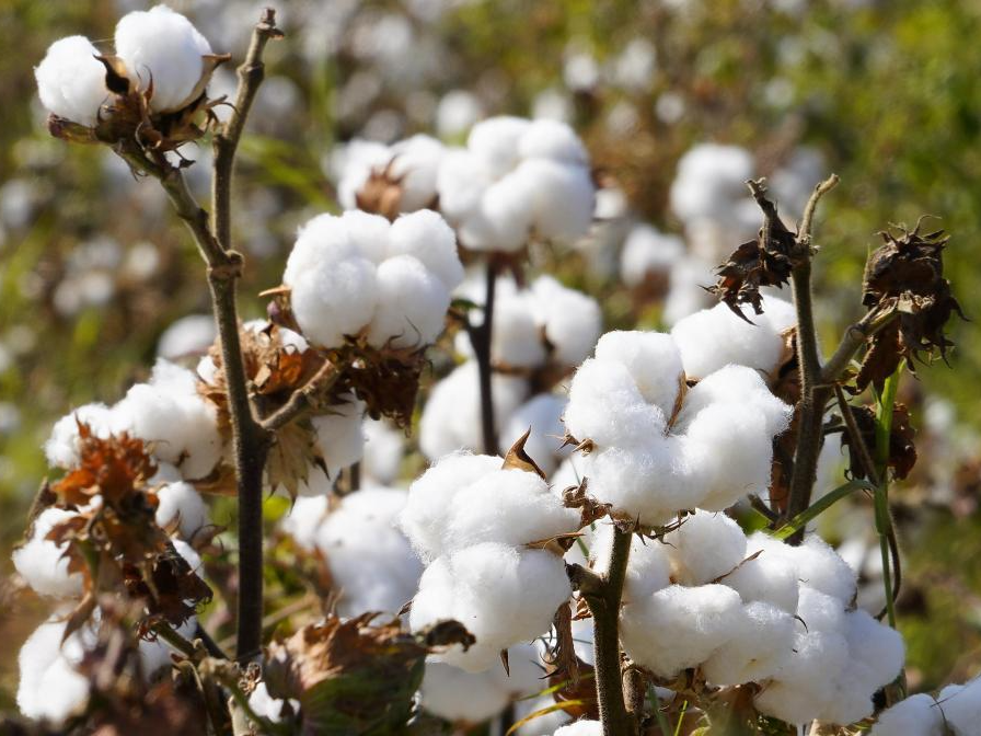 青春华章丨水利合作惠及各国人民 中国为全球水治理贡献中国智慧