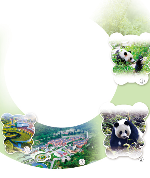 走，一起参观“大熊猫老家”