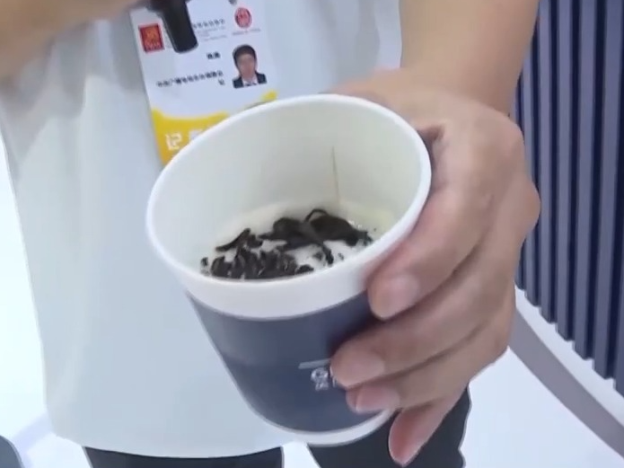 第二十五届投洽会今日开幕 有哪些亮点？