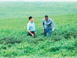 零关税助力非洲好物拓展中国市场（环球热点）