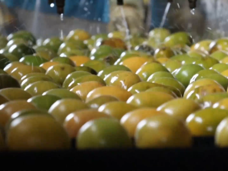 小城大市｜传统果品在“养生赛道”闯出“百亿身价”