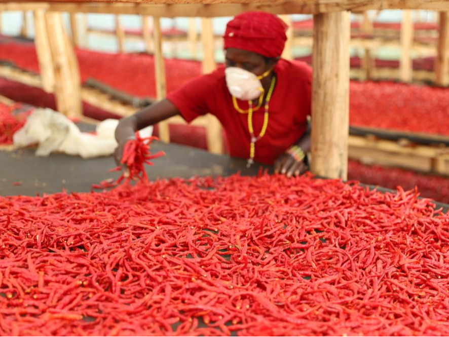 增长目标顺利实现　创新生发新鲜动能——海外人士热议全年经济数据背后的中国信心