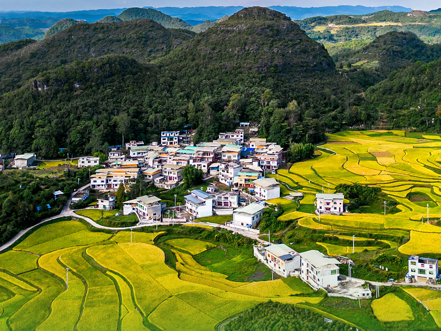 一组关键词看开局之年“三农”工作这样干！
