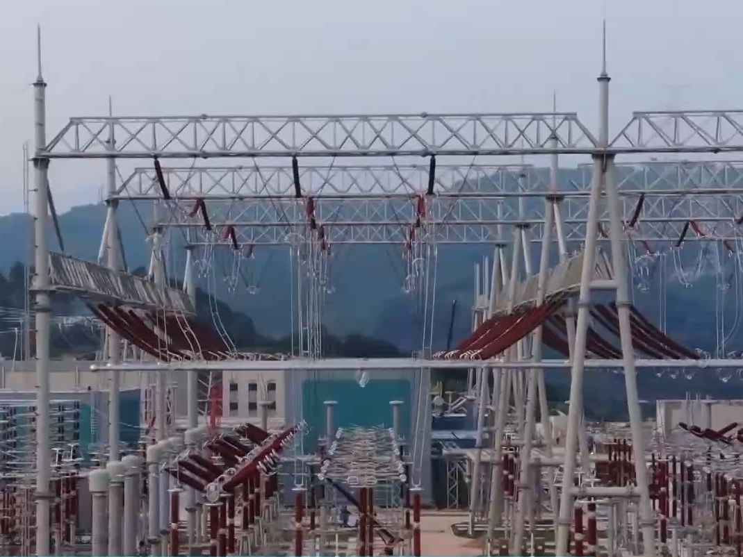 视频丨国际能源专家：中国推动全球能源转型进程