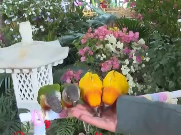 室内游升温、研学游正当时 文旅“热”让“冬日经济”多点开花、活力迸发