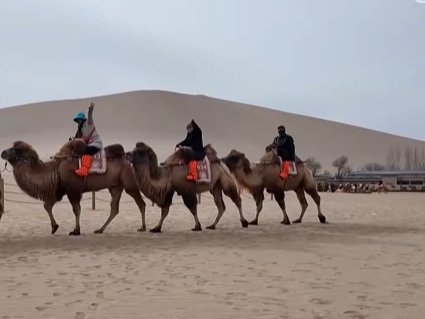 特色旅游专列助力冬季文旅持续升温