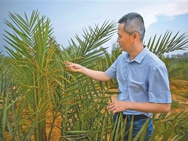 中外热带农业科技合作结硕果