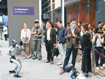 在香港，感受科技与艺术融合之美