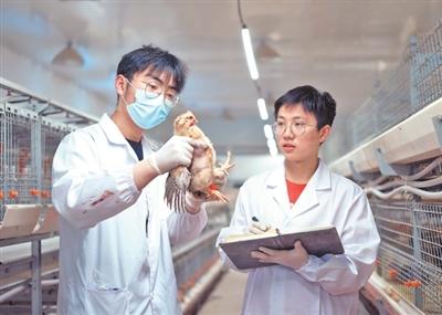 科技小院，扎根乡土茁壮生长（深阅读）