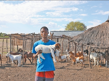 “小小道路大大改善了我们的生活”（新时代中非合作）