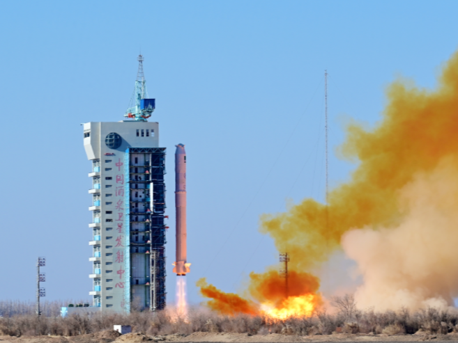 视频丨我国成功发射阿尔及利亚遥感三号卫星B星