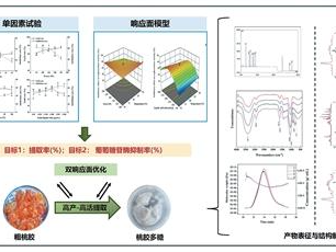 超声新工艺 高效取桃胶（科技瞭望）