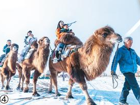多种方式，乐享冬日浪漫