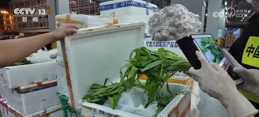 上海第六人民医院黄牛号贩子票贩子代网上预约代挂号电话人旺、货畅,大桥连万家!解锁港珠澳大桥假日“新”变化