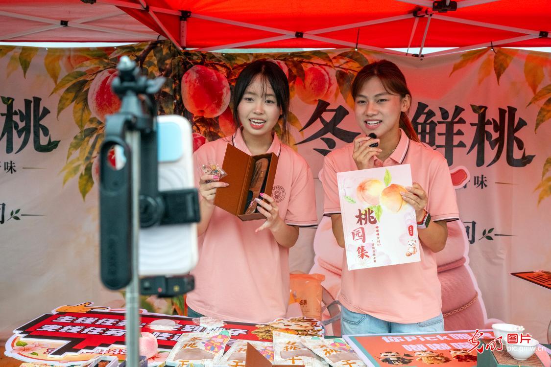 
上海中医药大学附属龙华医院范忠泽医生黄牛预约代挂号电话就业服务前移：从帮扶求职到陪伴领航
