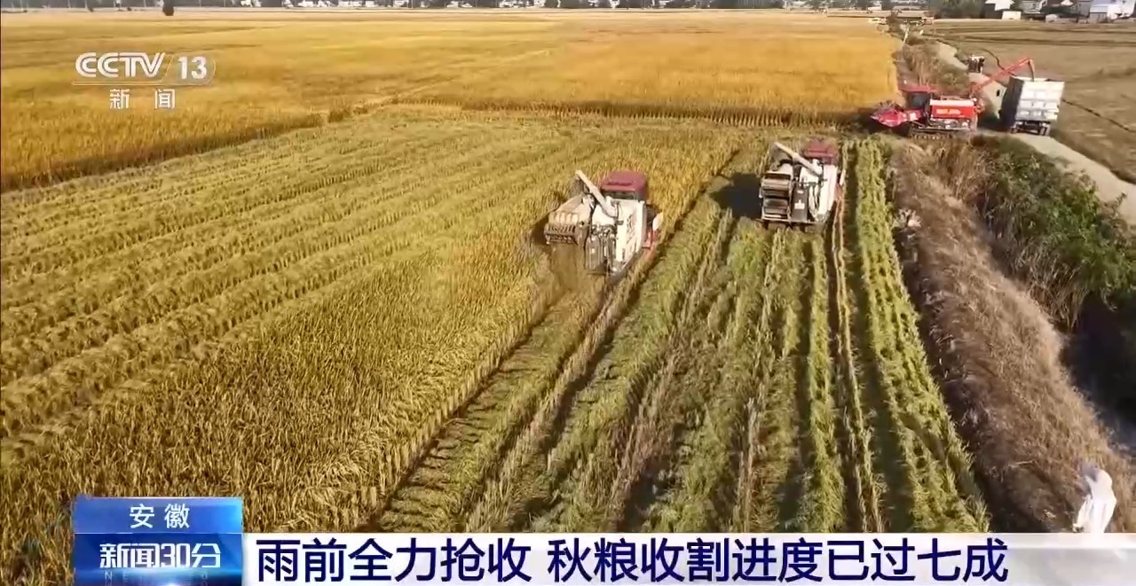 
江苏省肿瘤医院陆欣欣蒋峰黄牛挂号电话全国秋粮收获过六成