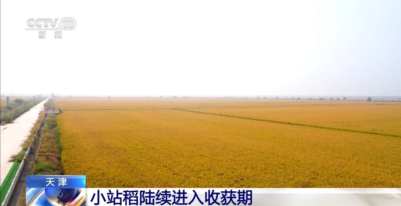 
江苏省肿瘤医院陆欣欣蒋峰黄牛挂号电话全国秋粮收获过六成