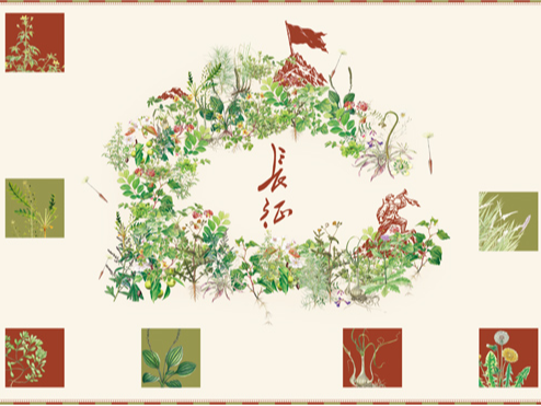 草木见证可歌可泣的长征故事（见证）