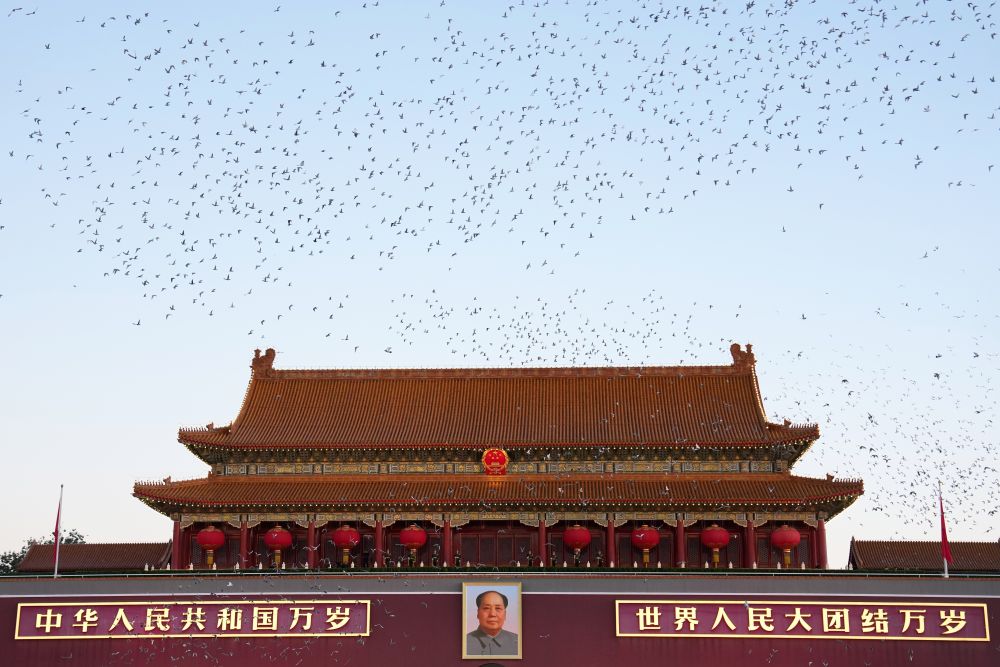 
北京儿童医院陆小彦医生黄牛预约代挂号电话新华鲜报｜一抹中国红，见证跨越时代的奔赴