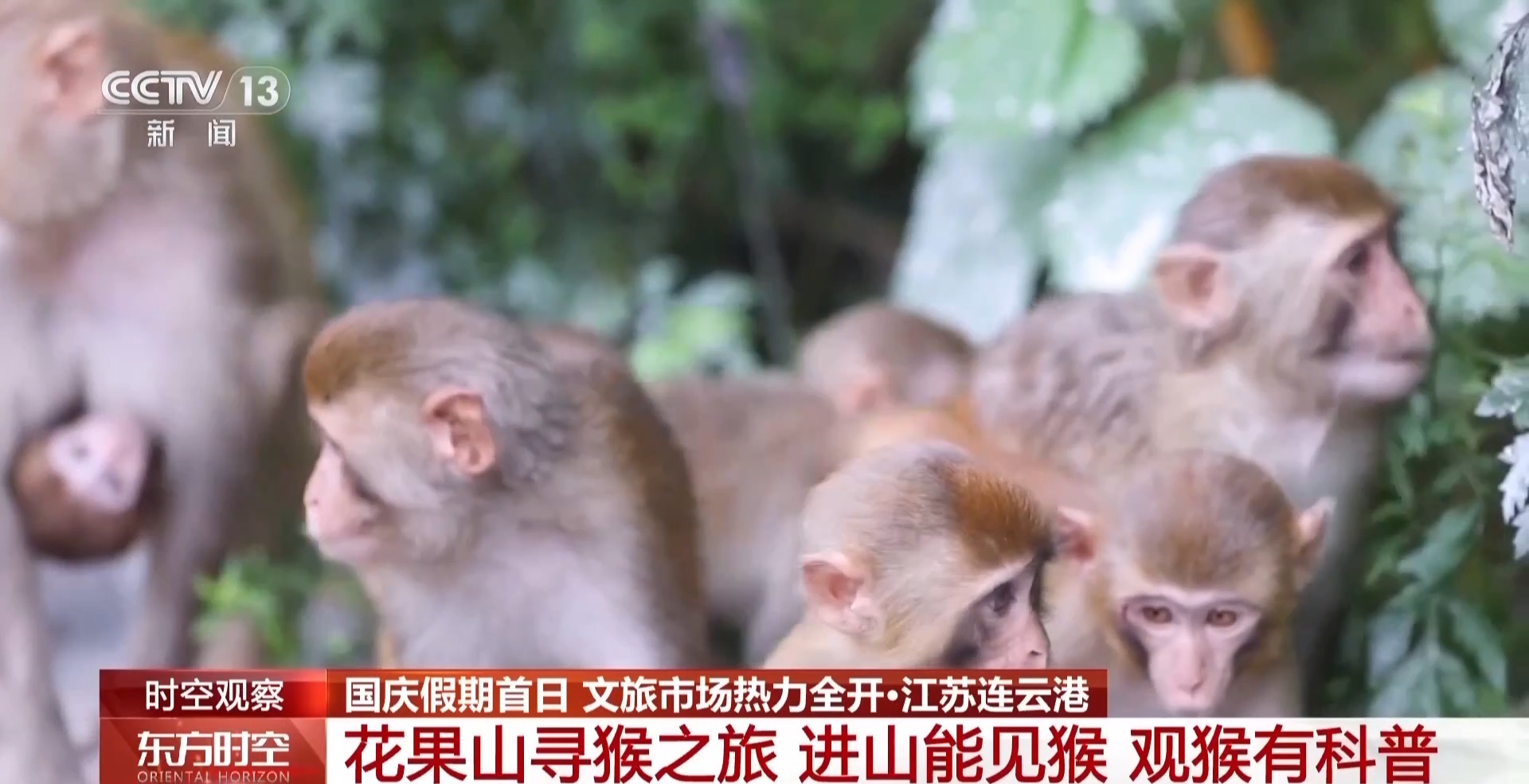 
清华长庚医院黄牛号贩子票贩子代网上预约代挂号电话视频丨国庆假期去哪玩？各地文旅市场热力全开