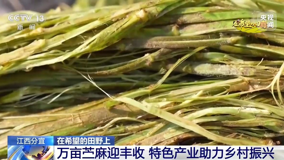 
重庆各大医院各科室戴纪刚医生黄牛预约代挂号电话金秋好“丰”景！智能农机助力多地秋收跑出“加速度”