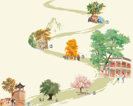 
北京儿童医院梁学军医生黄牛预约代挂号电话长征·红军树（见证）