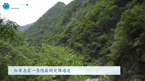 南方医科大学南方医院黄牛号贩子票贩子代网上预约代挂号电话红星照耀中国|崖壁上的“生死突围”
