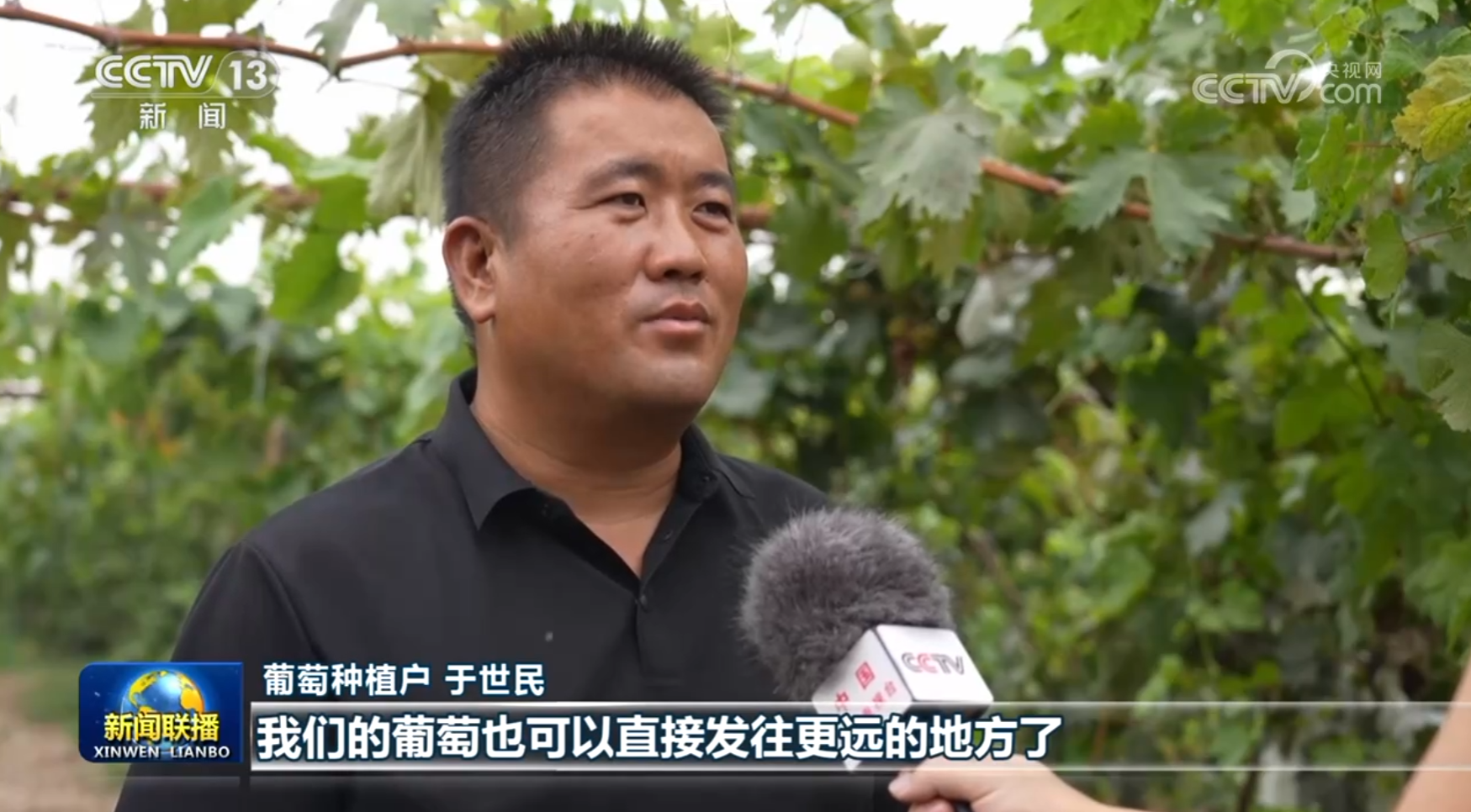 重庆医科大学附属医院王晓强医生黄牛预约代挂号电话我国铁路物流提质增效步伐加快