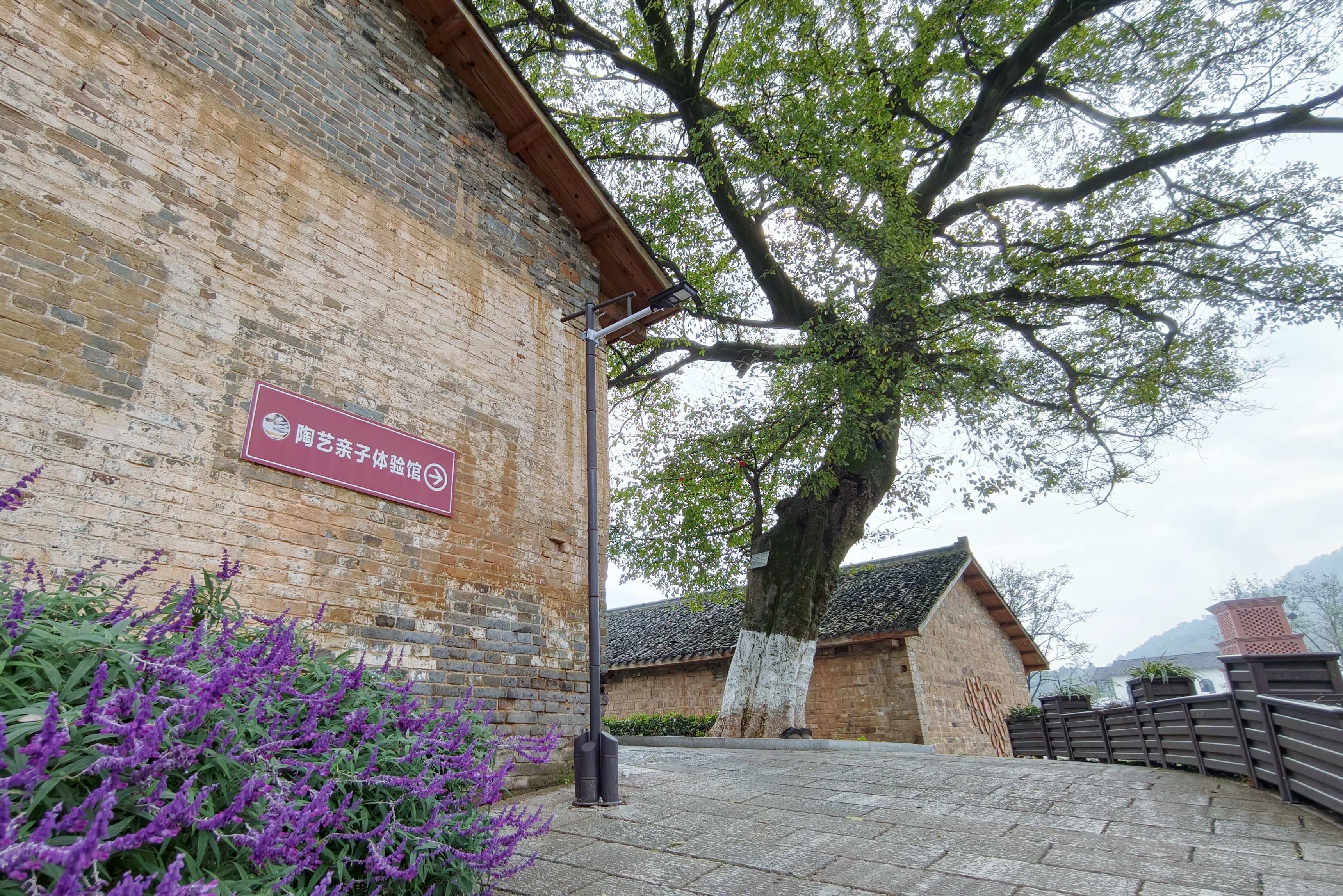 
中南大学湘雅二医院周新民医生黄牛预约代挂号电话700年窑火新生 山区小镇找到了自己的振兴密码丨90年后我站在何家冲