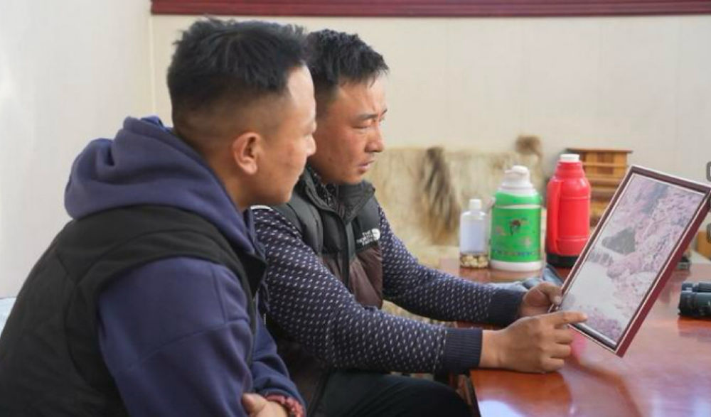 
中南大学湘雅二医院张红张晶晶李芬高洁生刘锋周新民刘凤英符淳黄牛挂号电话中国故事｜青藏高原牧民摄影师见证“雪豹归来”