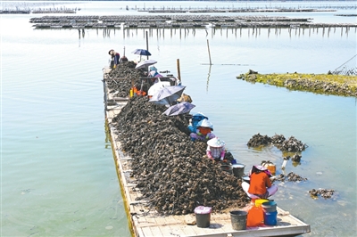 
重庆医科大学附属第二医院罗浩军医生黄牛预约代挂号电话江海交汇处的珍馐美味