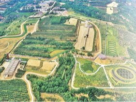 遗址可观 文明可感（文化中国行·人文观察）