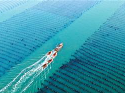 餐桌上那份新鲜从何而来？（外国网友“趣”问中国）