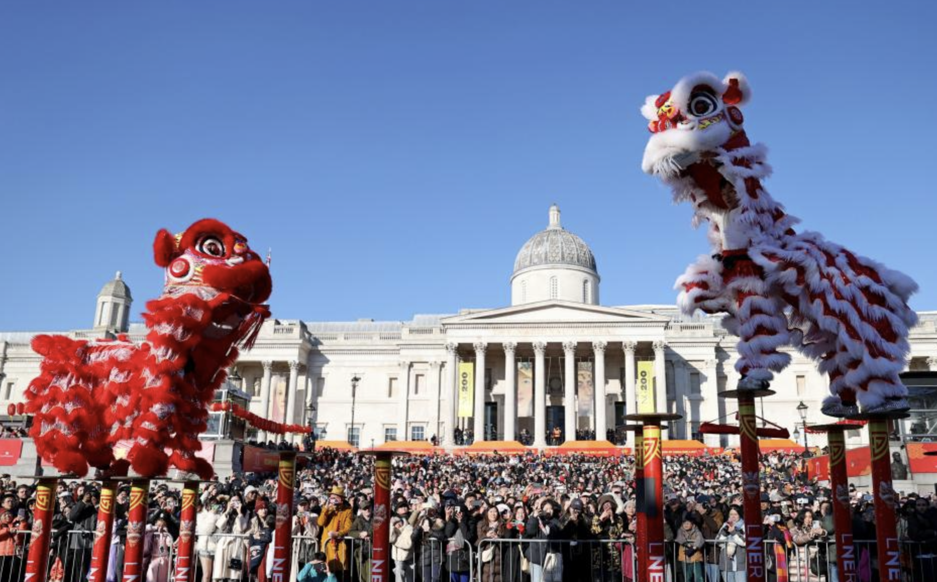 海评面：“中国农历新年充满奇妙乐趣”