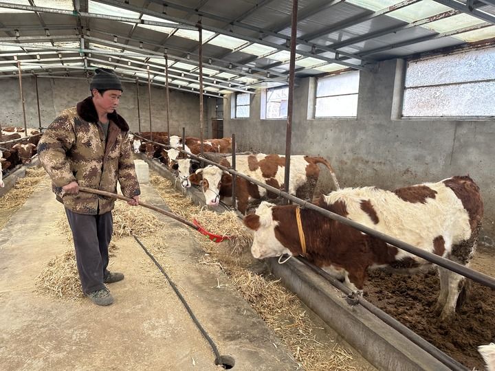 新春再访积石山｜新春走基层