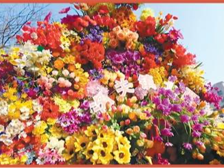 社火闹新春 耍出精气神（文化中国行·人文观察）