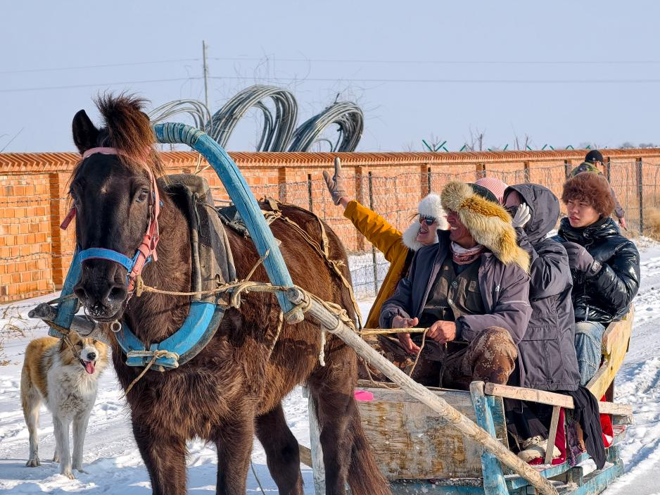 雪域同心·青春融情——记台青冬令营新疆之旅