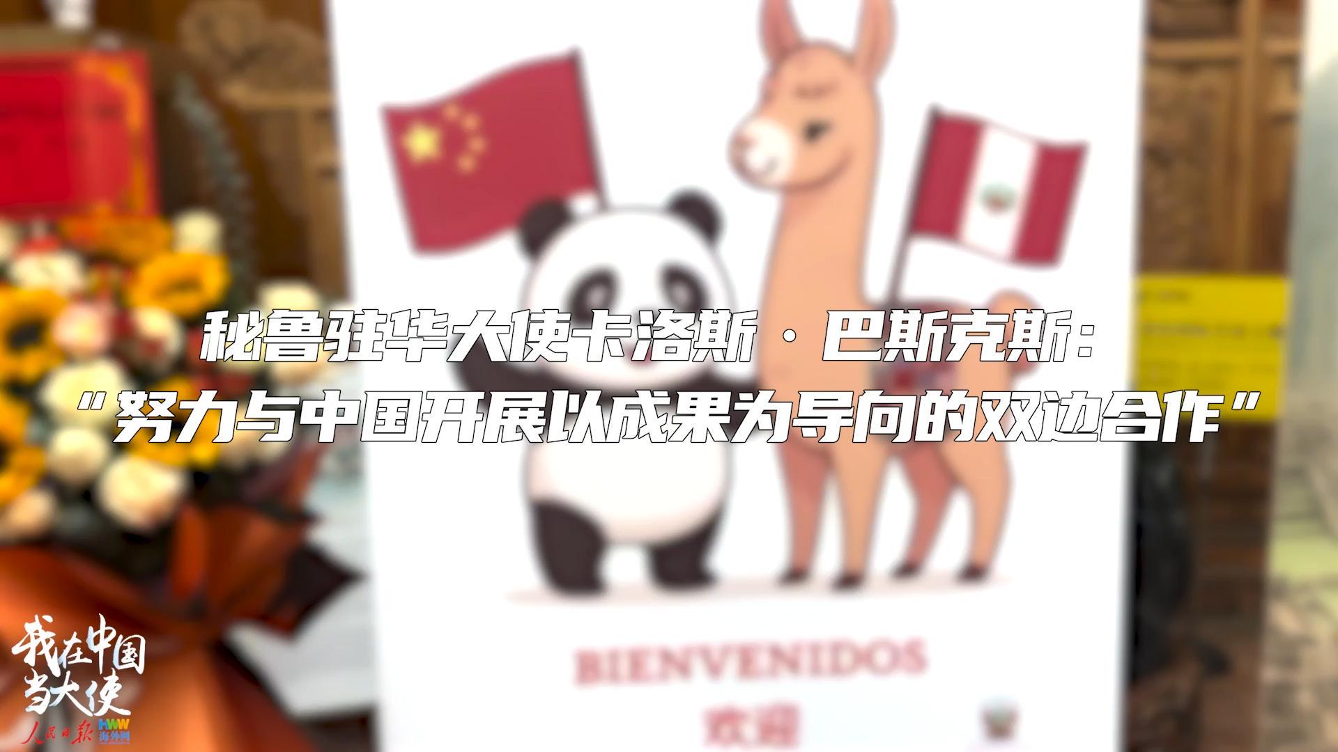 秘鲁驻华大使卡洛斯·巴斯克斯: “努力与中国开展以成果为导向的双边合作”