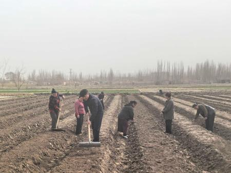 电商直播赋能 新疆基层干部蹚出乡村振兴“新路子”