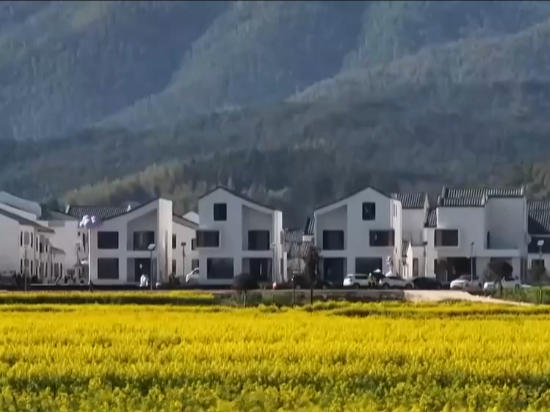 一片金色花海，把“春日流量”装进了村民的“钱袋子”